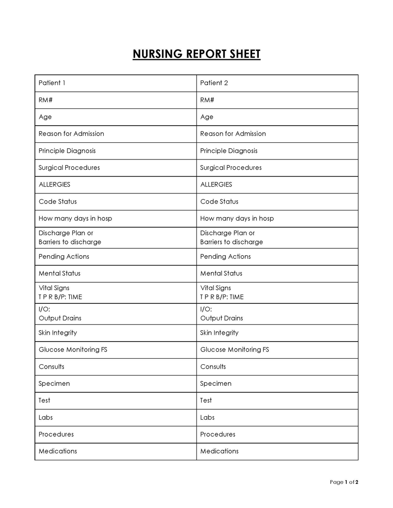 Great Professional Nursing Report Sheet Template 08 for Word Document