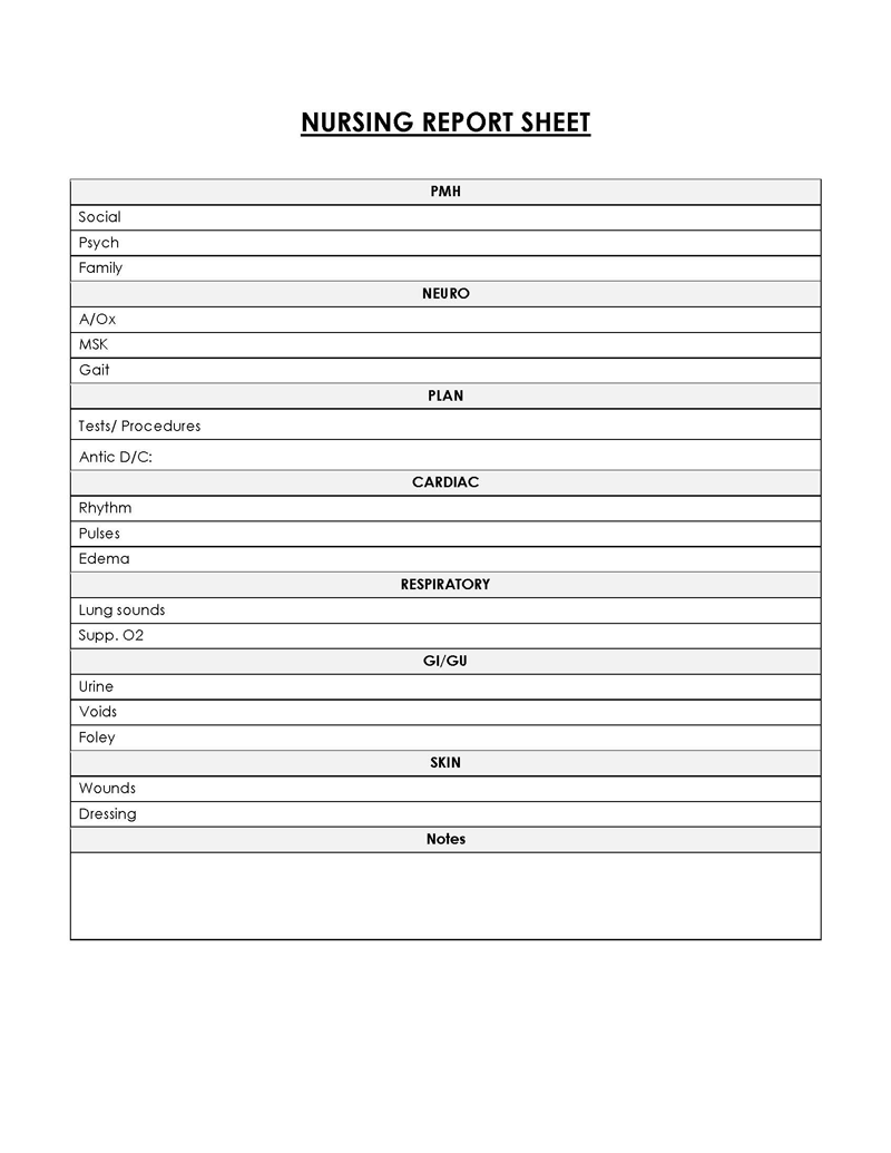 Professional Organized Nursing Report Sheet Template 16 for Word Document