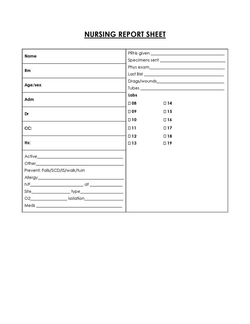 Free Customizable Nursing Report Sheet Template 02 for Word Document
