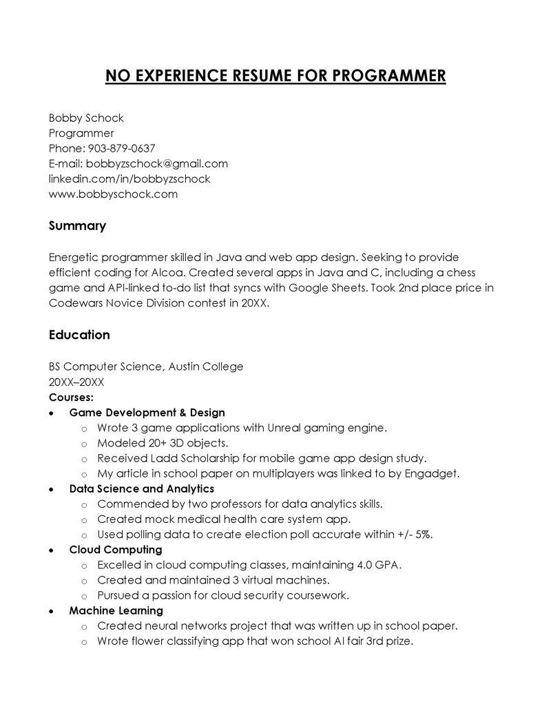 No Experience Resume for Programmer