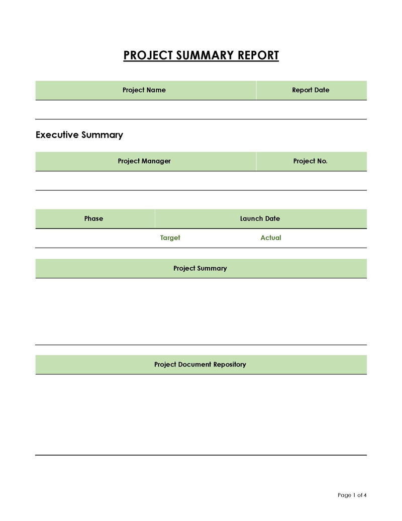 Professional Editable Project Summary Progress Report Template for Word Form