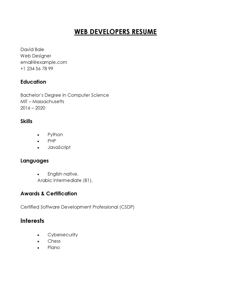 
junior web developer resume