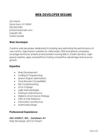 20 Free Web Developer Resume Templates (Guide + Examples)