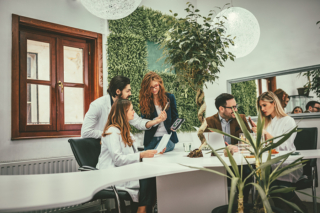 Positive Work Environment