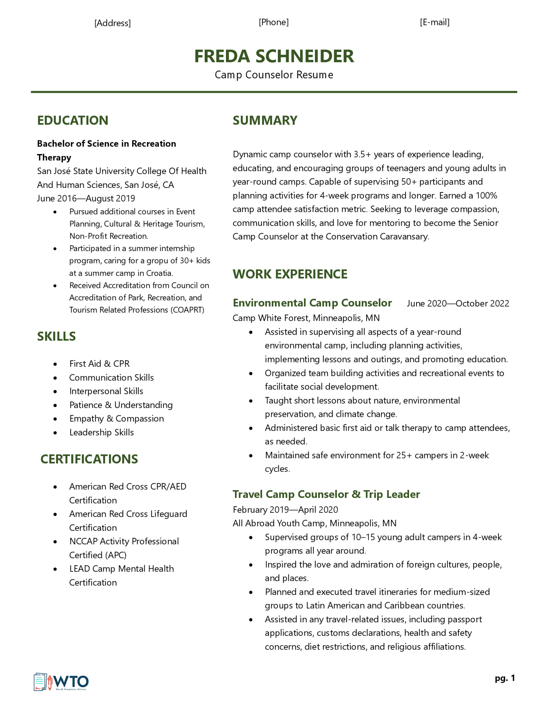 Camp Counselor Resume Example - Professional Sample