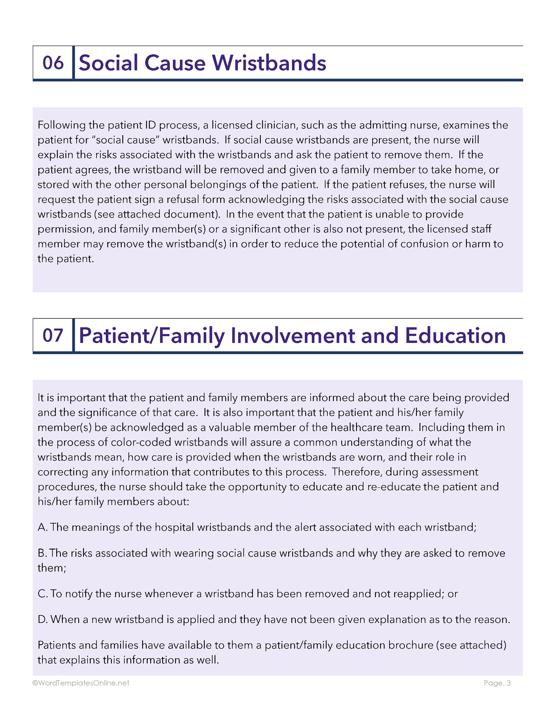Professional Policy and Procedure Template in MS Word for businesses