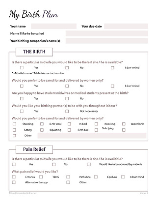 14 Free Birth Plan Templates (Word, Google Docs, PDF)
