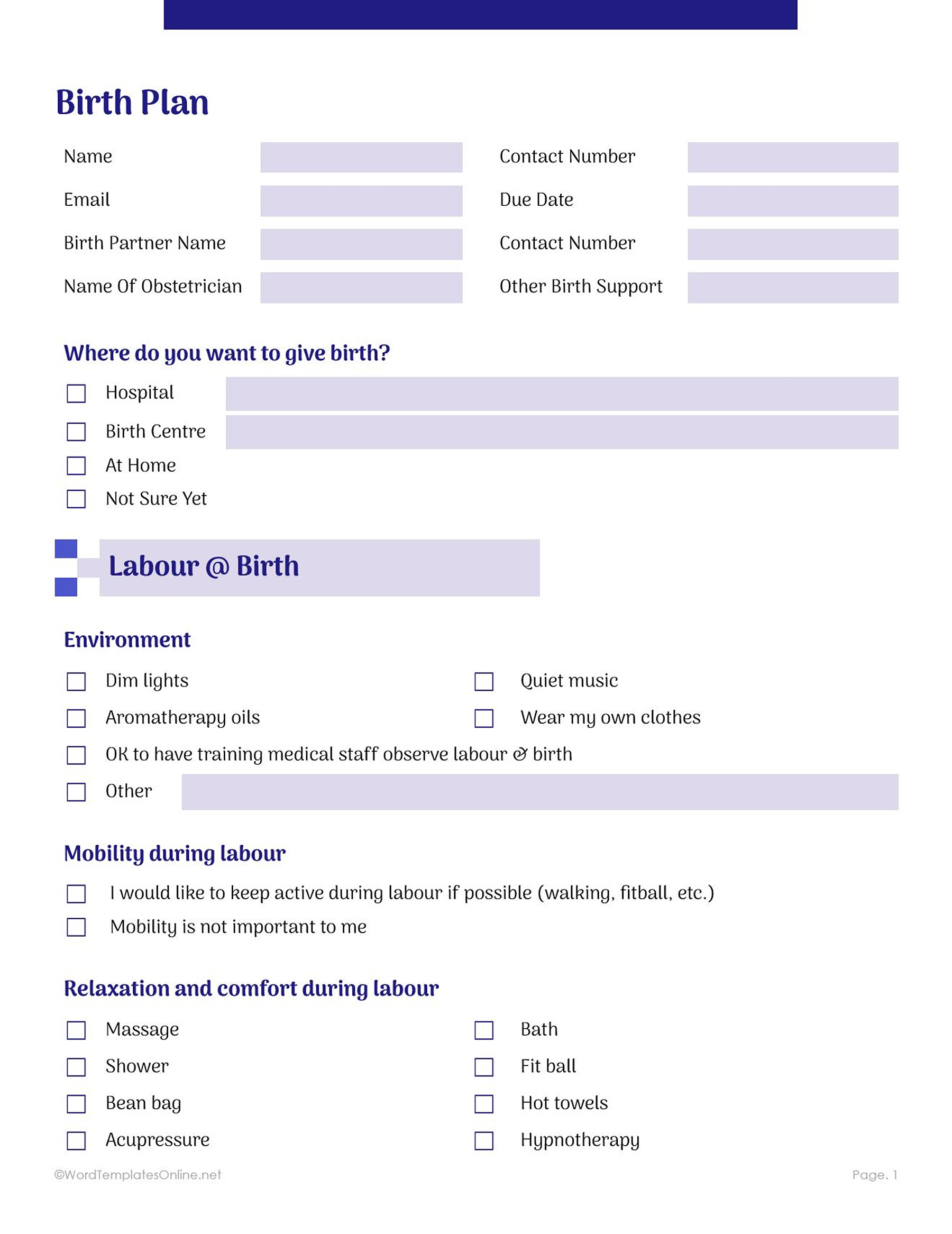 Create a personalized Birth Plan with a user-friendly MS Word template for a smooth labor