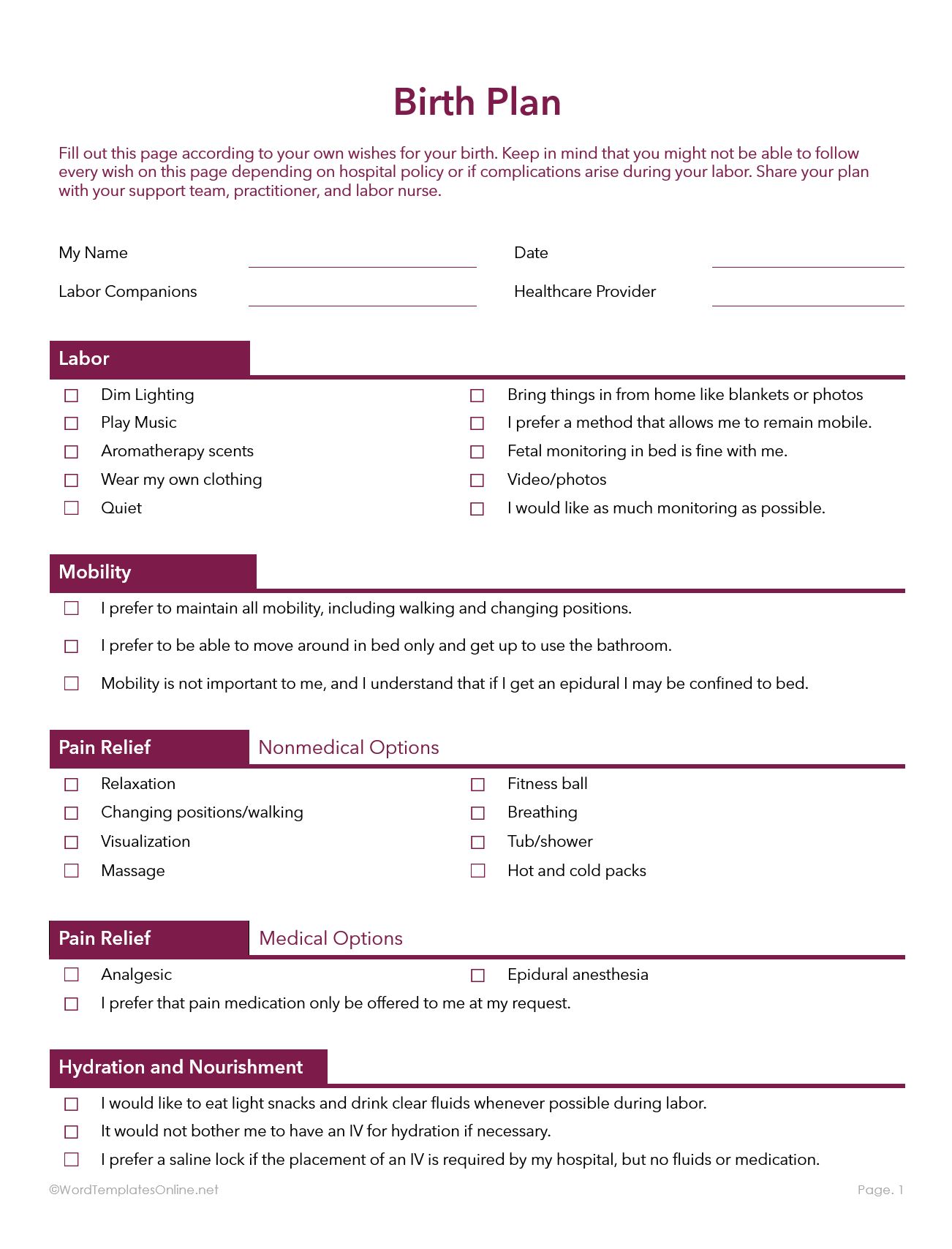Download a free and editable MS Word Birth Plan Template