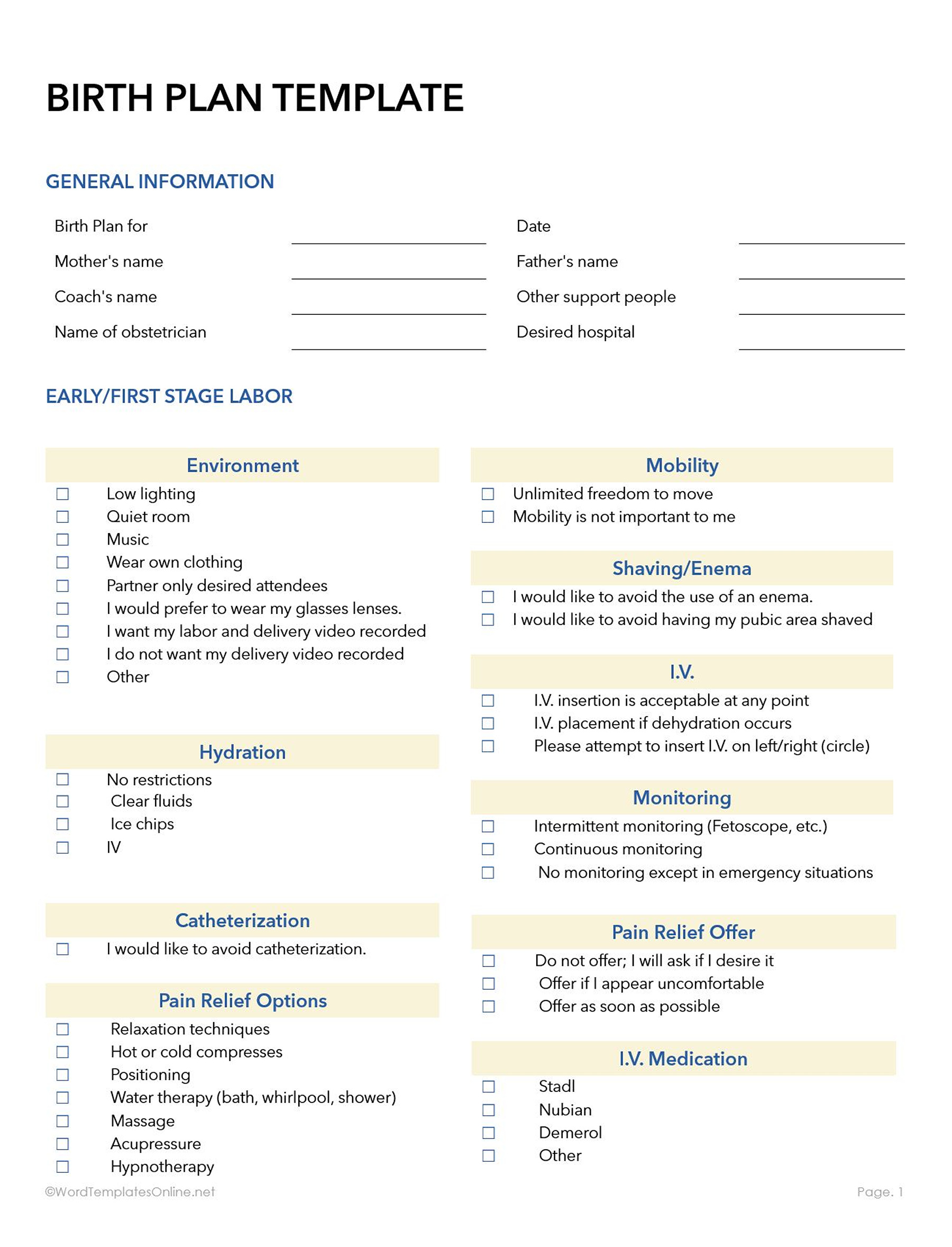 Document your birth wishes with an MS Word Birth Plan Template designed for convenience and ease of use