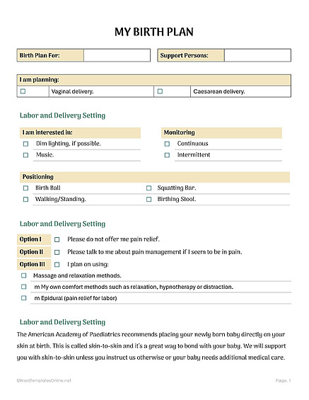 14-free-birth-plan-templates-word-google-docs-pdf