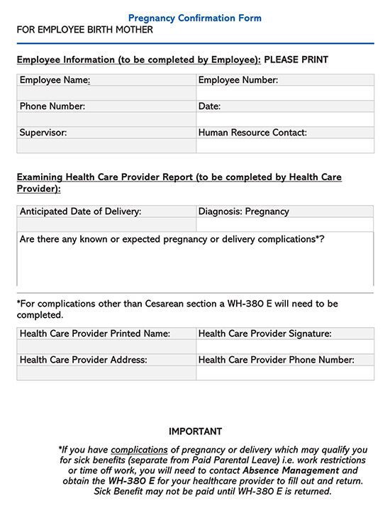 Free Pregnancy Verification Form Template for Word
