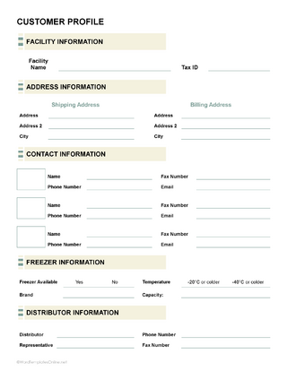 Free Customer Profile Template for Word and Google Docs
