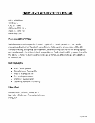 Free Web Developer Resume Template for Word and Excel