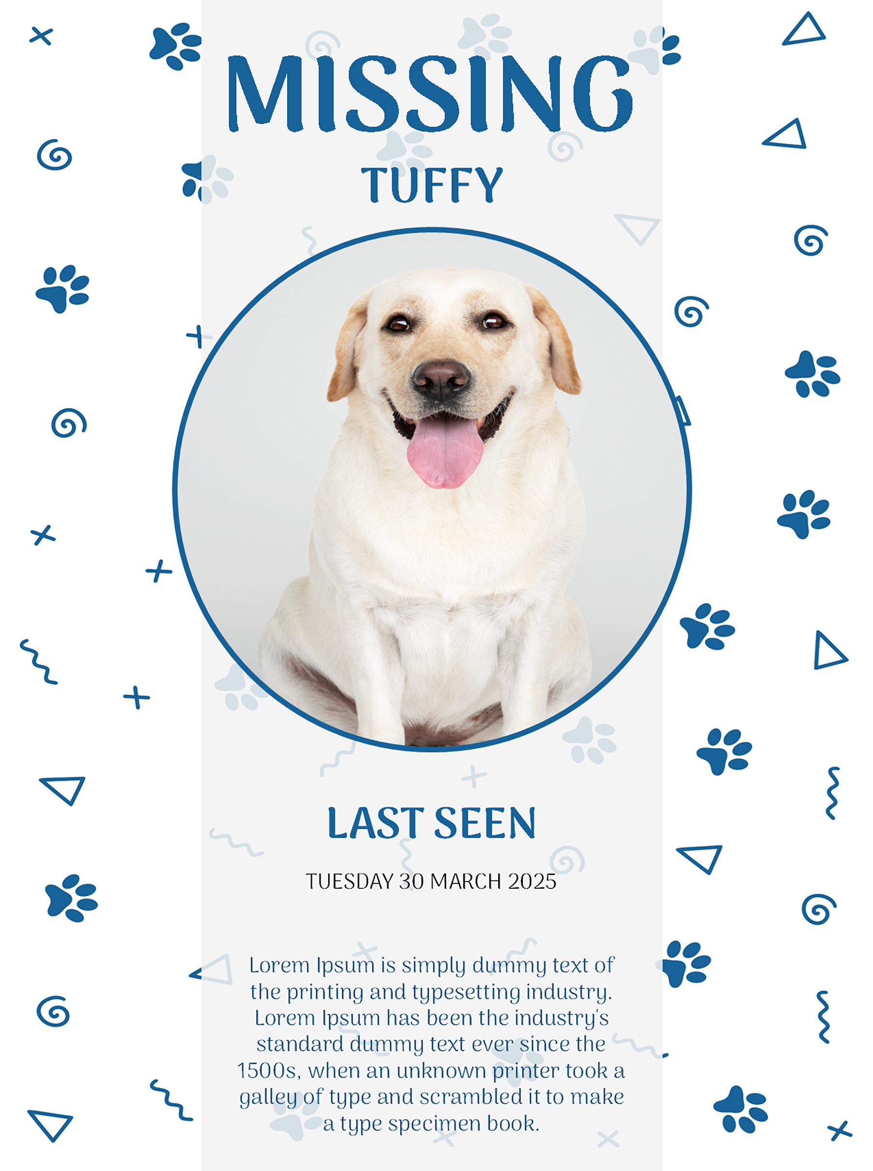Free missing pet poster PPT layout
