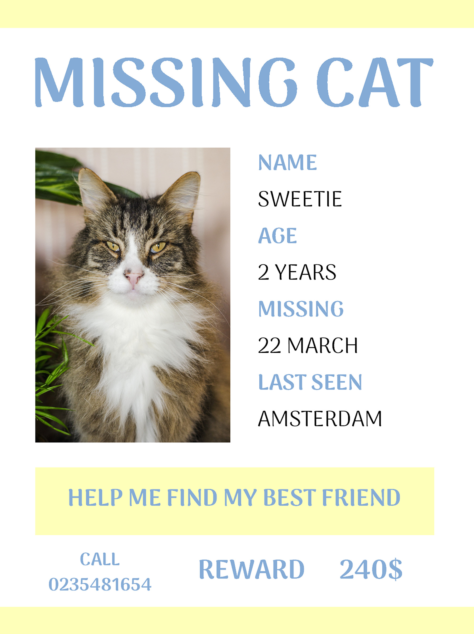Printable missing cat template PowerPoint