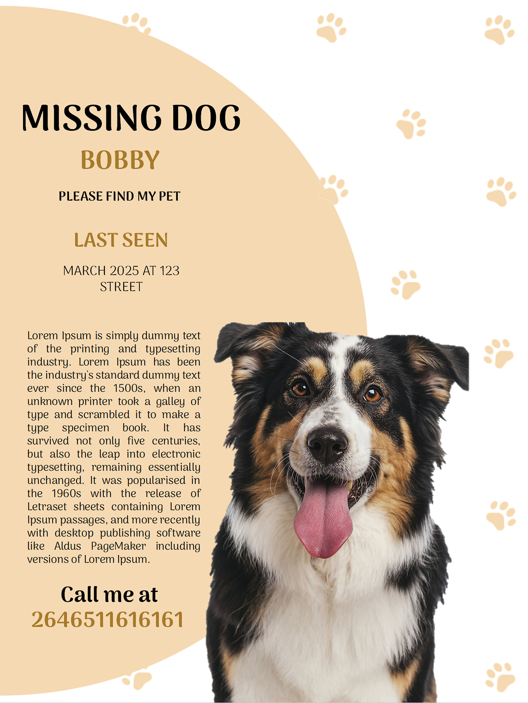 Basic dog missing poster template in PPT format