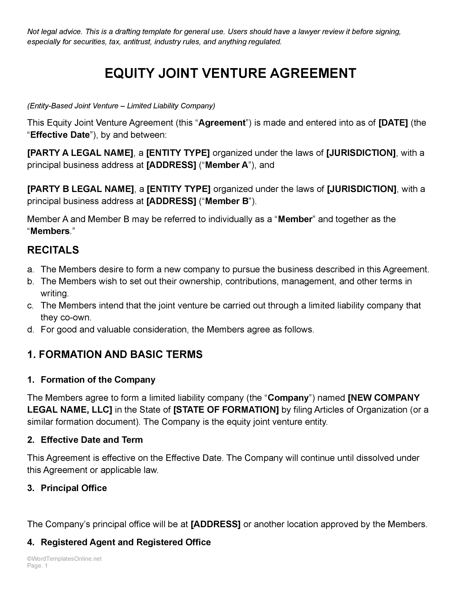 Equity JV Template Free Download - Word - Google Docs