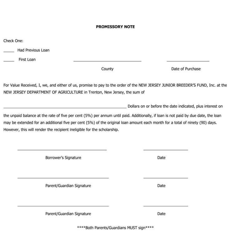 Sample Downloadable New Jersey Promissory Note Template for Pdf File