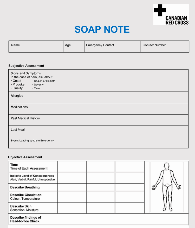 35+ SOAP Note Examples (Blank Formats & Writing Tips)