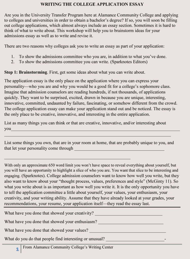 essay writing application