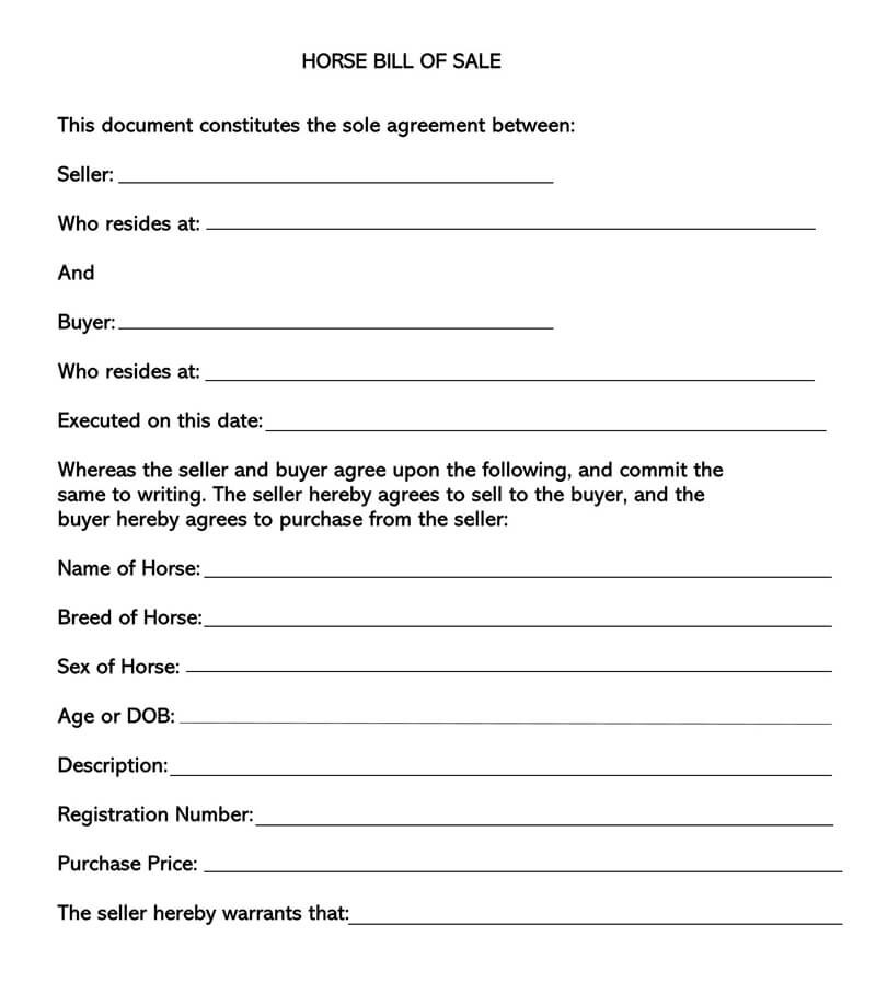 Free Horse Bill of Sale Forms (How to Fill) Word PDF