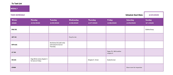 Weekly Task Schedule